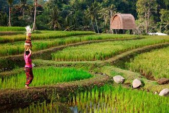 Ubud